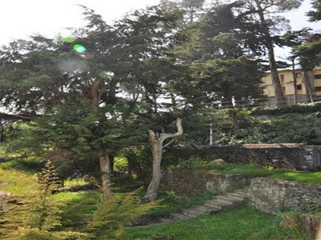 Hill Heaven Home Stay Kodaikanal Dış mekan fotoğraf